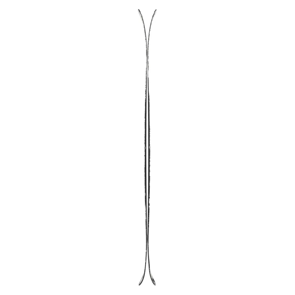 Bdog skis 2025
