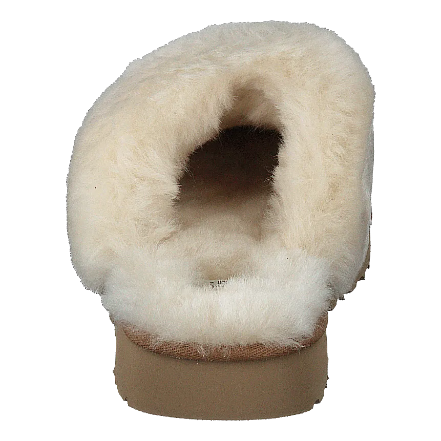 Cozy Cream