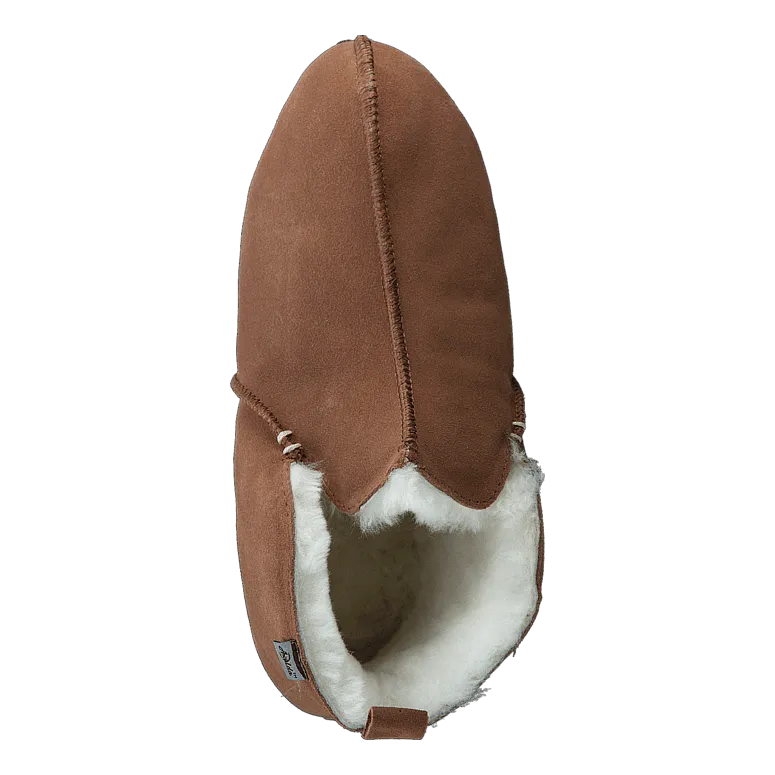Innsbruck Chestnut