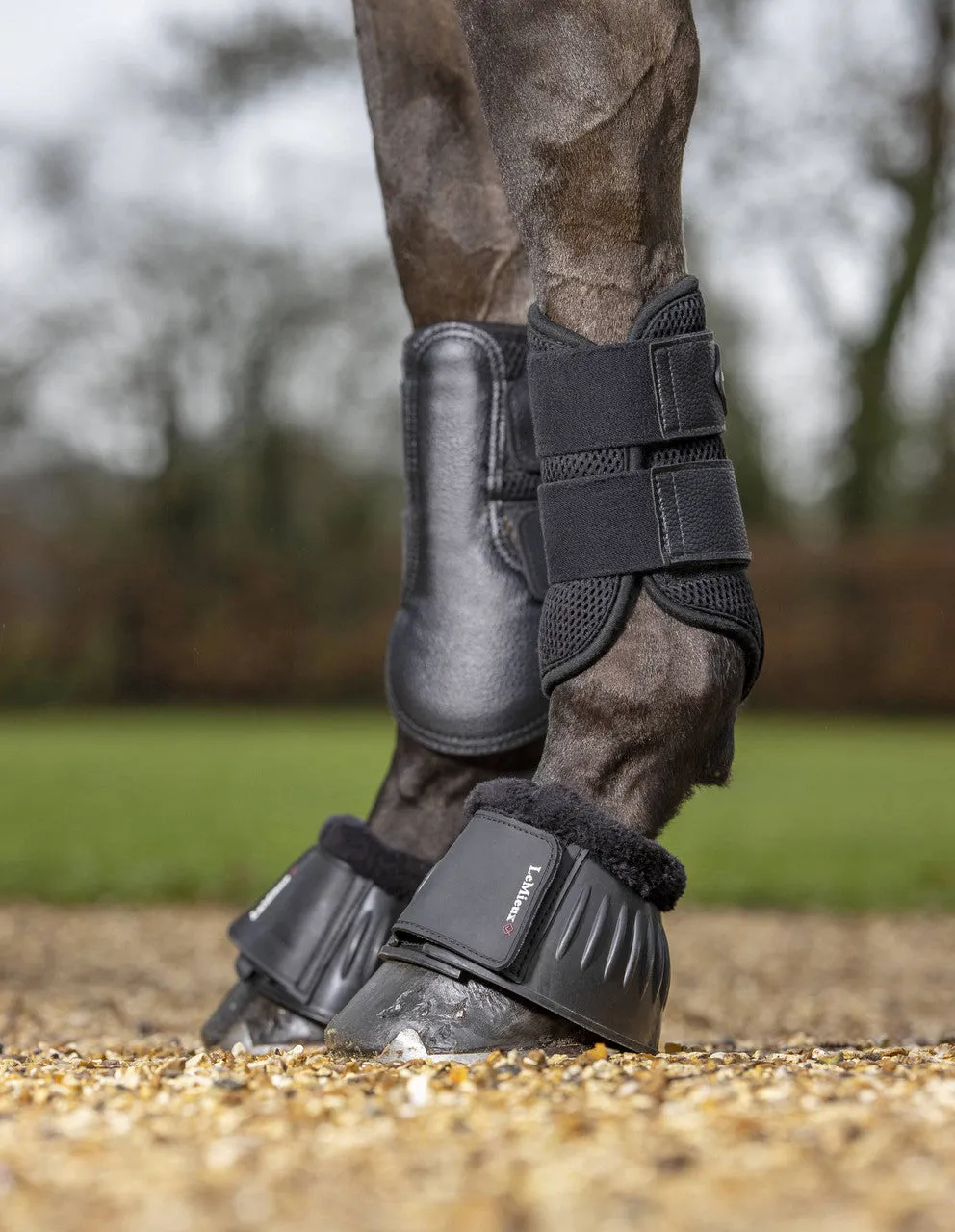 LeMieux Mesh Brushing Boots