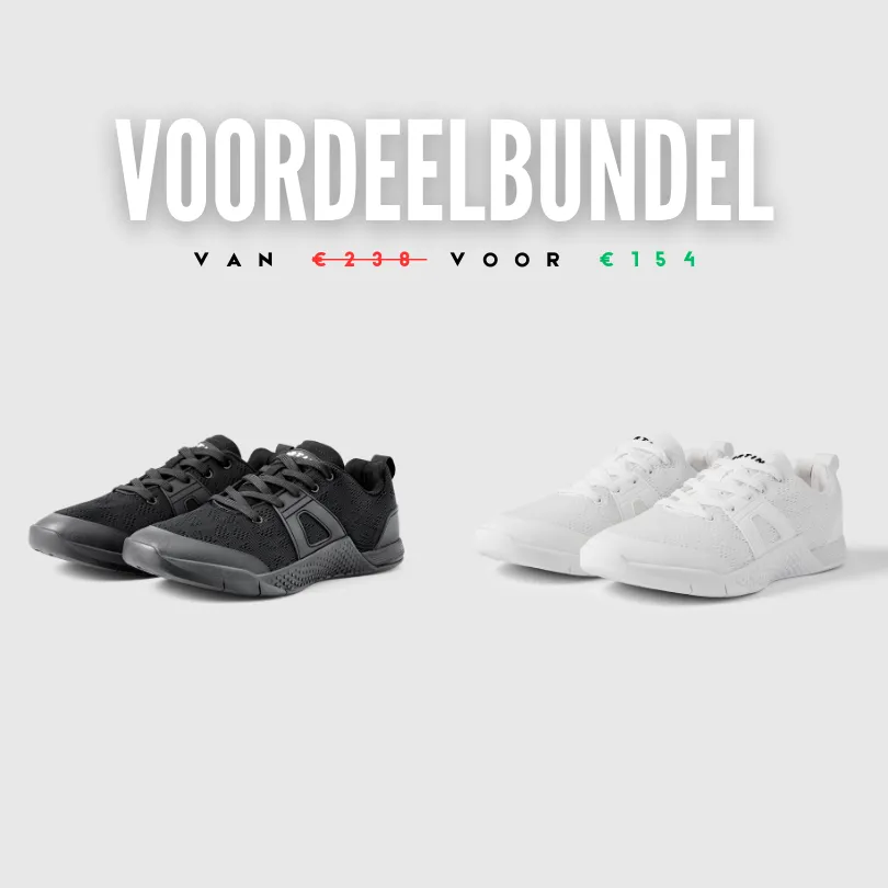 Mesh Trainer 2