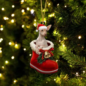 Peruvian Inca Orchid-In Santa Boot Christmas-Two Sided Ornament