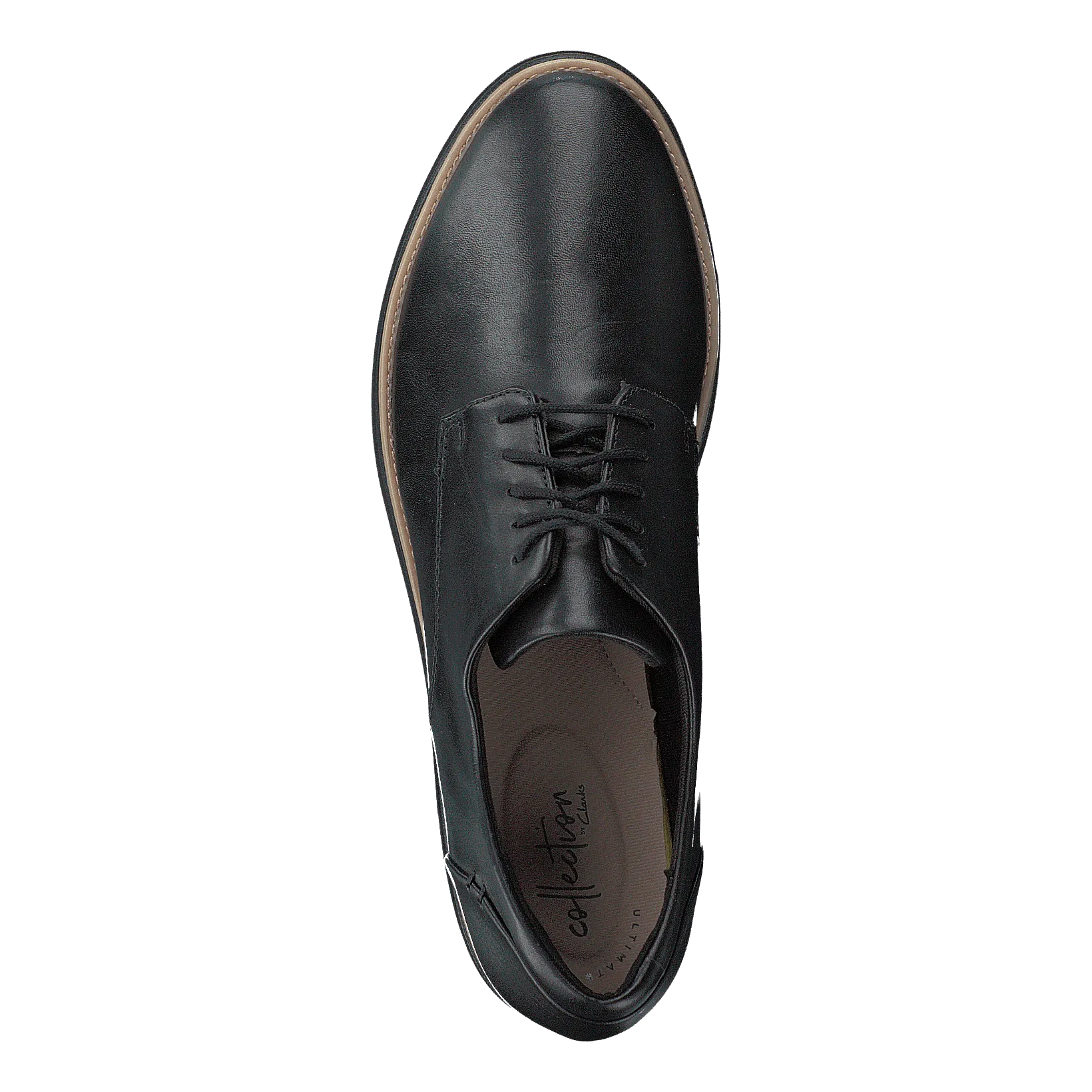 Sharon Noel Black Leather