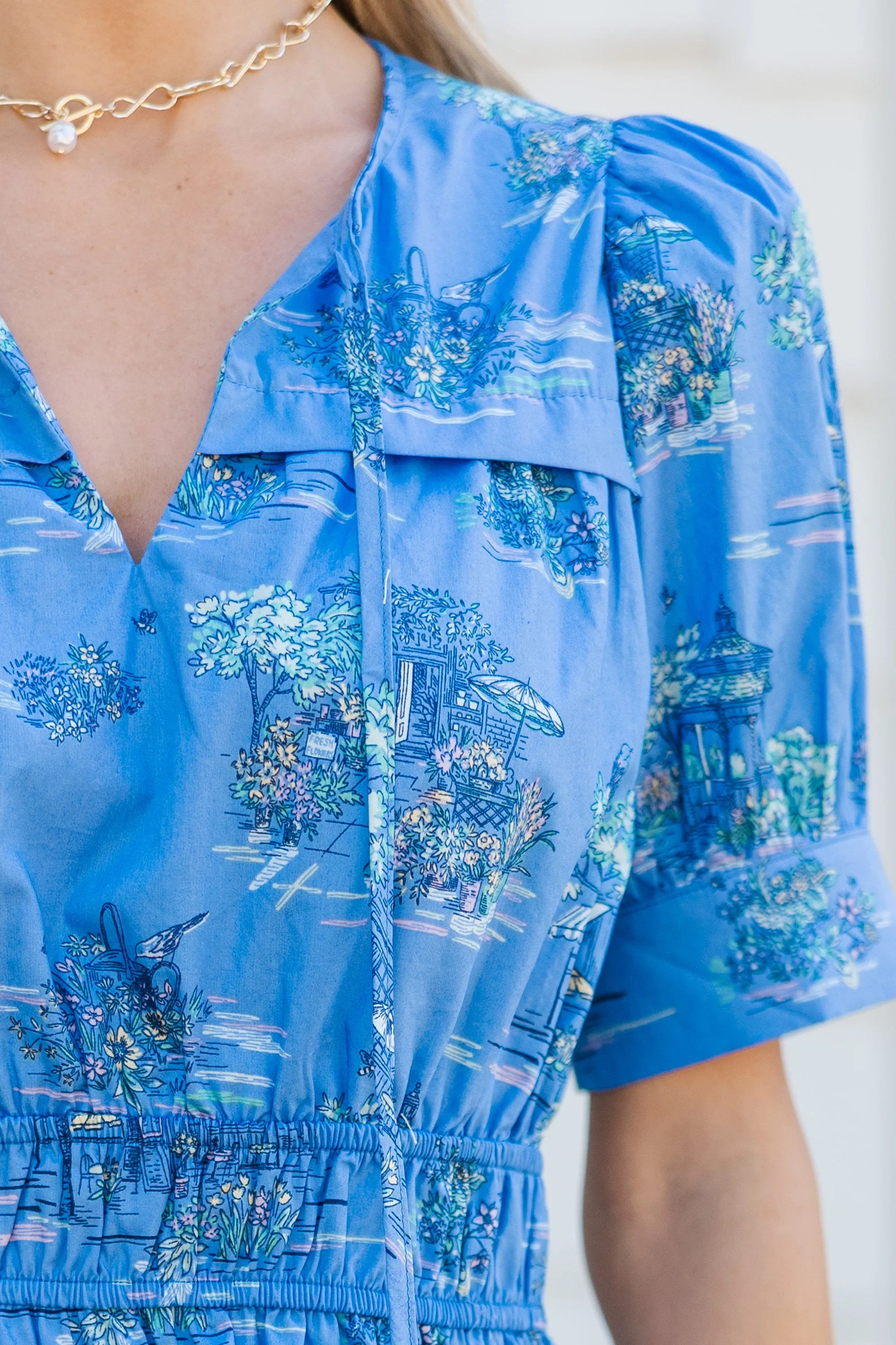 The Patience Blue Toile Dress